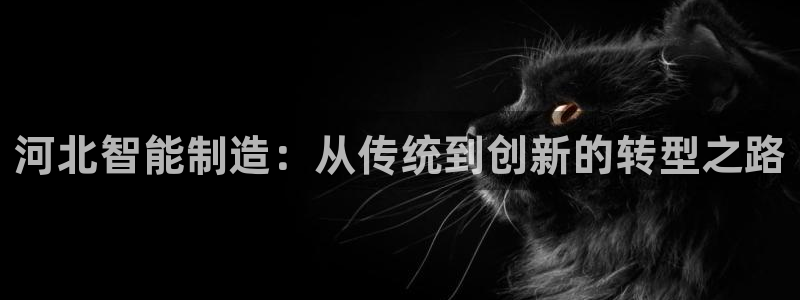 门徒娱乐山六七五一38：河北智能制造：从传统到创新的转型之路