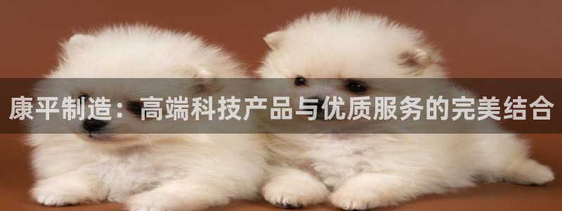 门徒娱乐怎么注册会员：康平制造：高端科技产品与优质服务的完美