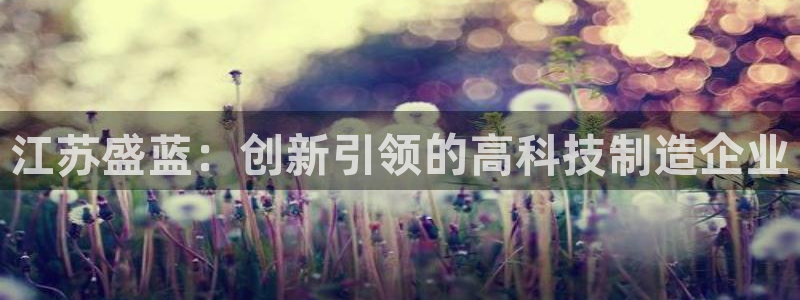 门徒娱乐开奖平台下载：江苏盛蓝：创新引领的高科技制造企业
