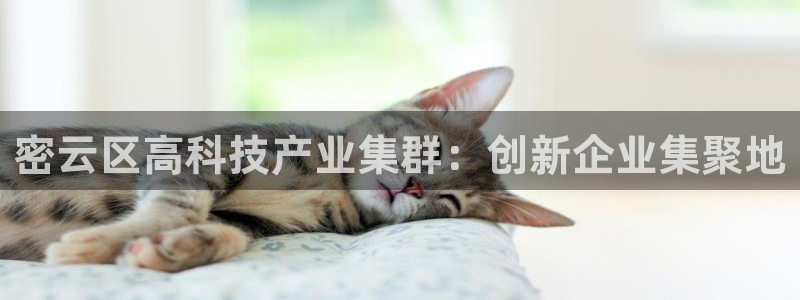 门徒娱乐总代理怎么样：密云区高科技产业集群：创新企业集聚地