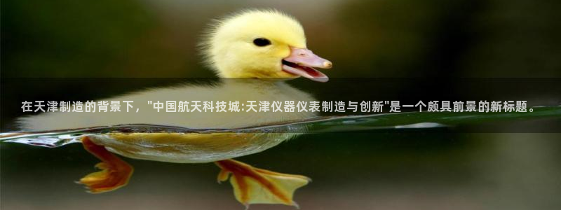 门徒娱乐技术q：在天津制造的背景下，\