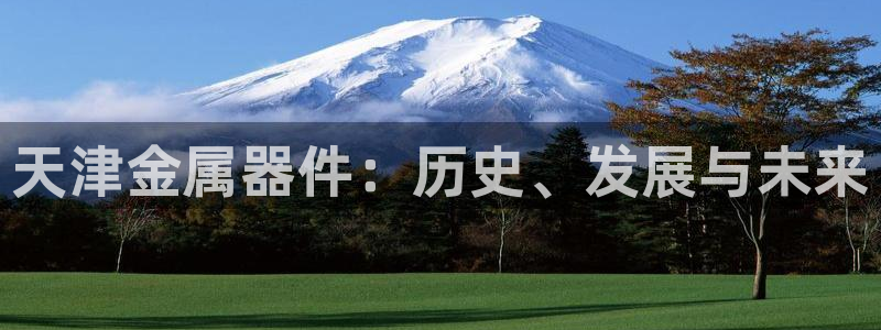 娱乐门徒王梓均简介图片：天津金属器件：历史、发展与未来