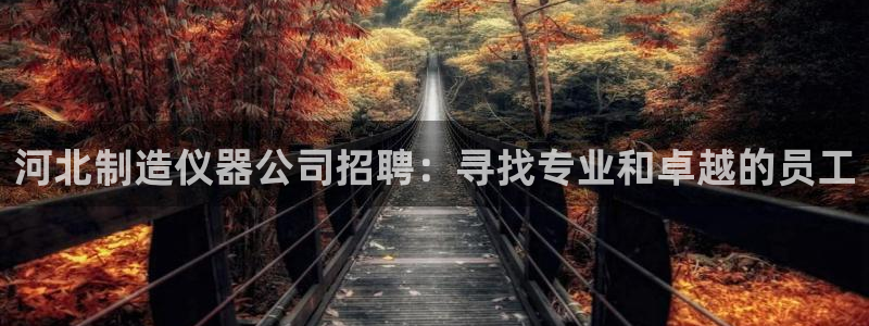门徒娱乐统究7276O：河北制造仪器公司招聘：寻找专业和卓越
