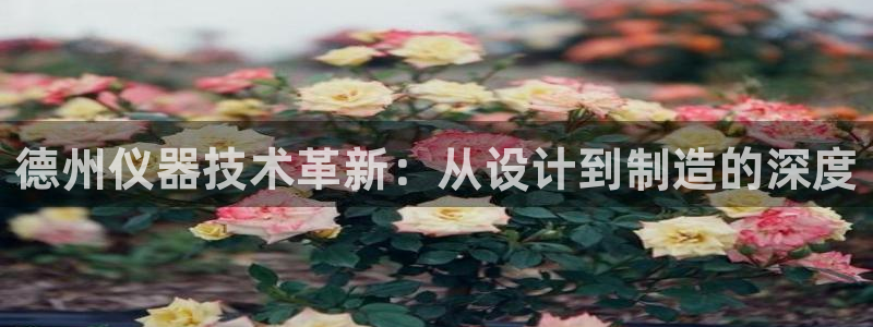 门徒娱乐区究7276O：德州仪器技术革新：从设计到制造的深度
