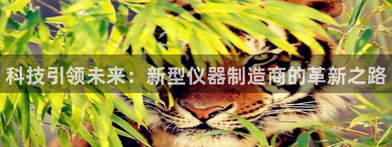 门徒娱乐平台怎么样：科技引领未来：新型仪器制造商的革新之路