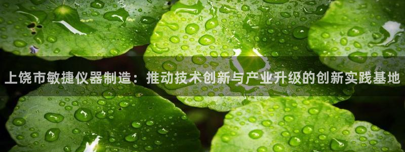 门徒娱乐怎么代理赚钱的：上饶市敏捷仪器制造：推动技术创新与产