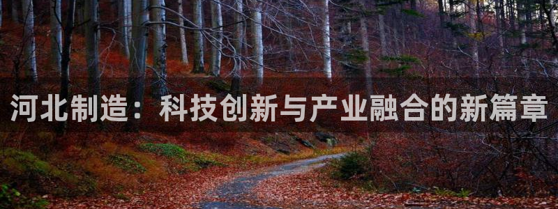 门徒娱乐盈利方法是什么：河北制造：科技创新与产业融合的新篇章