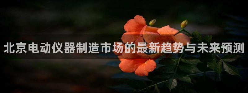 娱乐门徒登录：北京电动仪器制造市场的最新趋势与未来预测