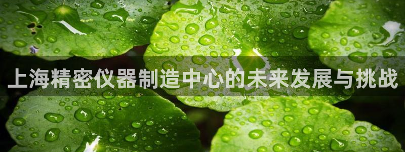 门徒娱乐上5指尖：上海精密仪器制造中心的未来发展与挑战